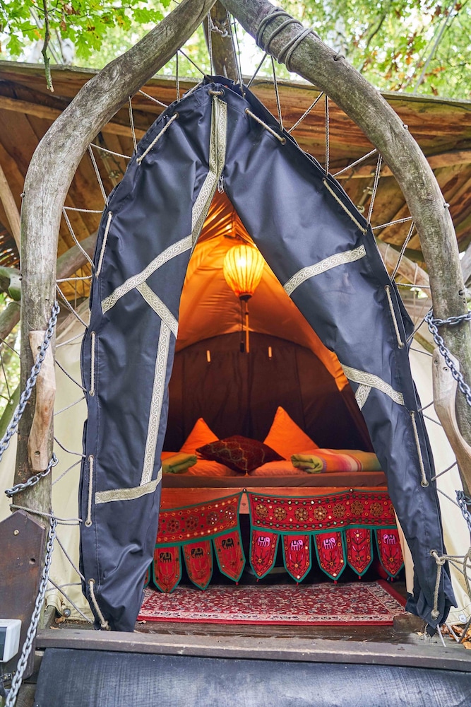 Comfort Tree House photo 1