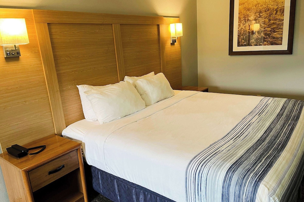 Room, 1 King Bed, Non Smoking photo 1