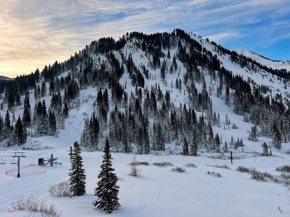 The Snowpine Lodge, 写真 5