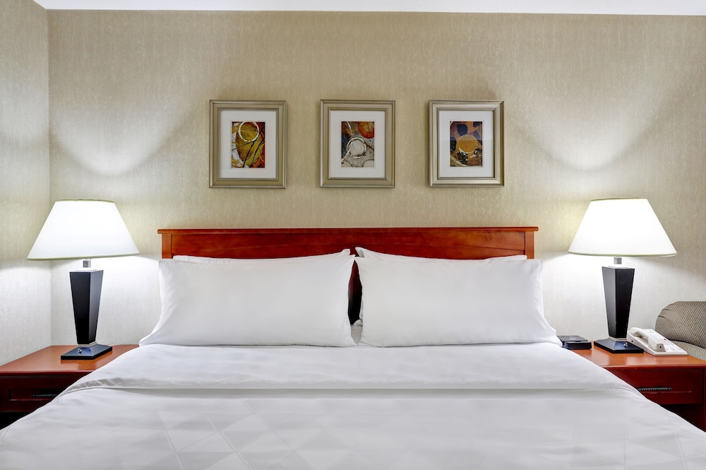 Premium Room, 1 King Bed - Photo 5