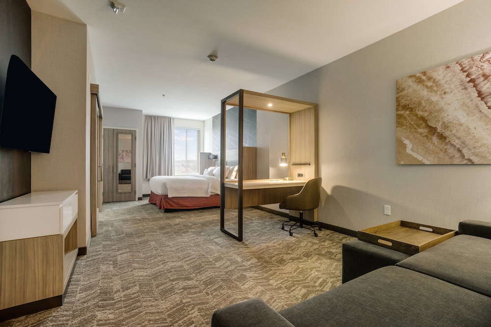 Suite, 1 King Bed with Sofa bed (Hearing Accessible) photo 1