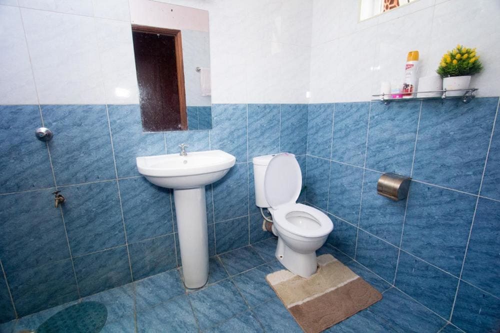 Single Room photo 2