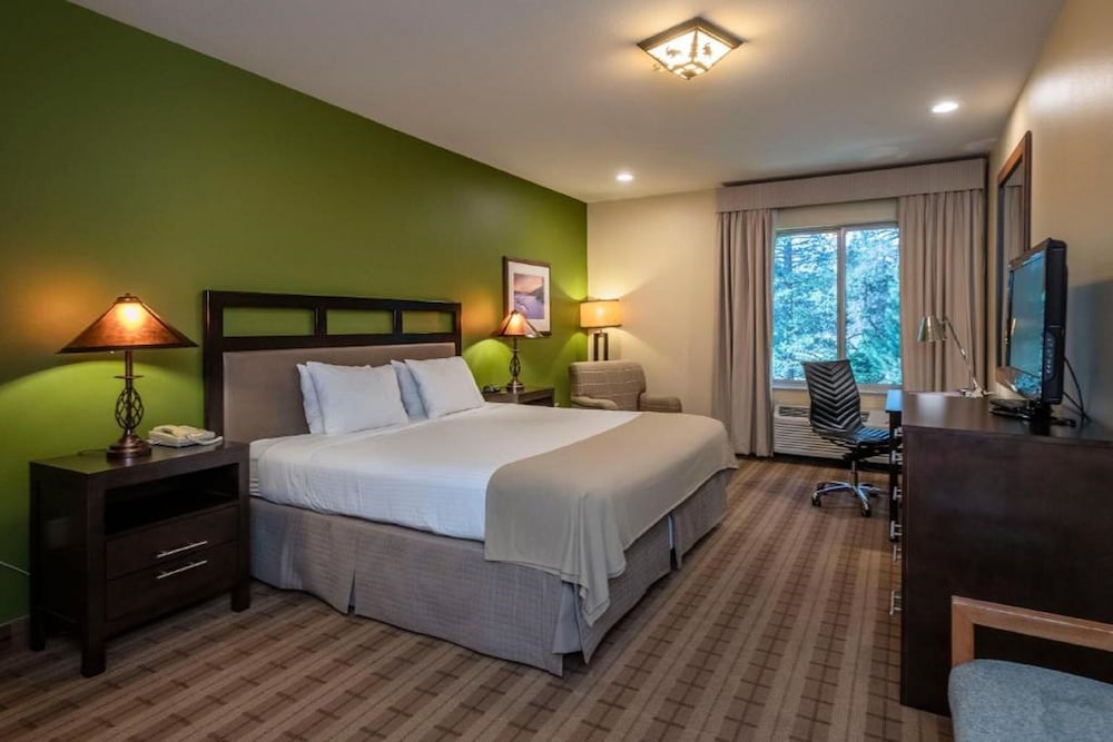 Executive Room, 1 King Bed - Photo 2