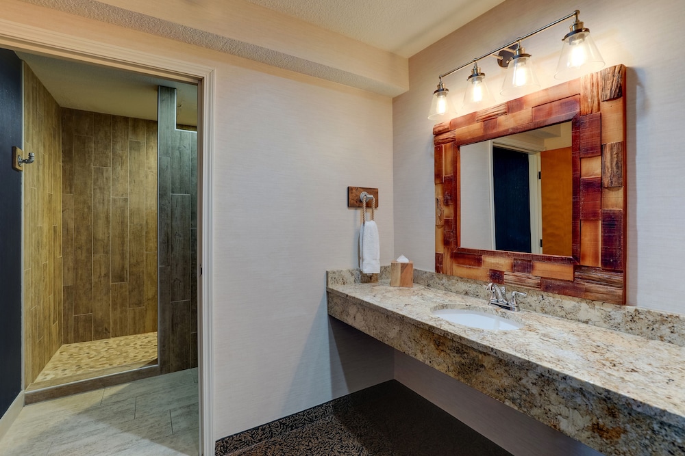 Theme Suite with Fireplace - Photo 5