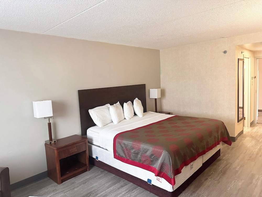 Exclusive Room, 1 Double Bed photo 2