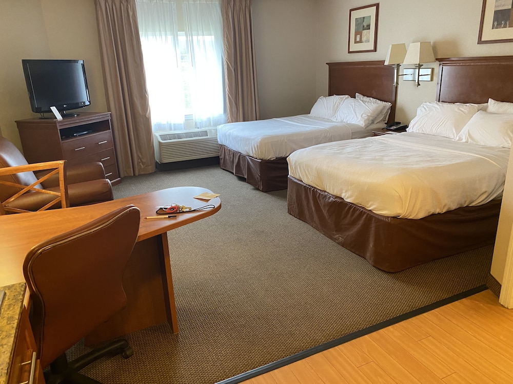 Studio Suite, 2 Queen Beds - Photo 2