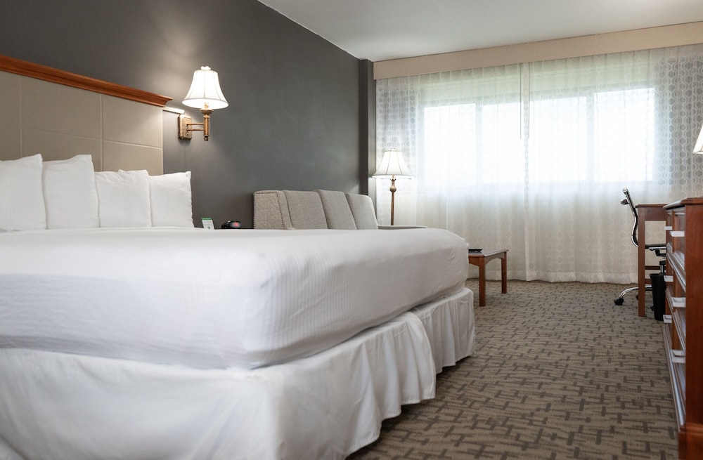 Room (King Bed) - Photo 6
