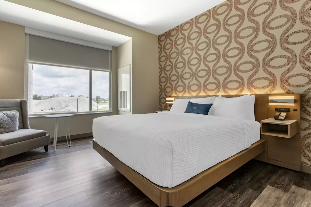 Suite, 1 King Bed, Accessible (Mobility, Roll-In Shower) - Photo 2