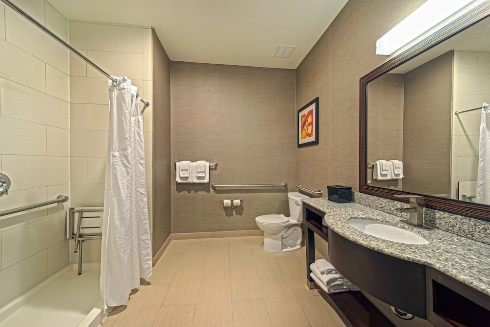 Suite, 1 King Bed, Accessible - Photo 7