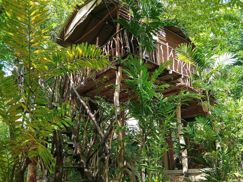 Traditional Tree House, 1 Queen Bed, Mountain View photo 2