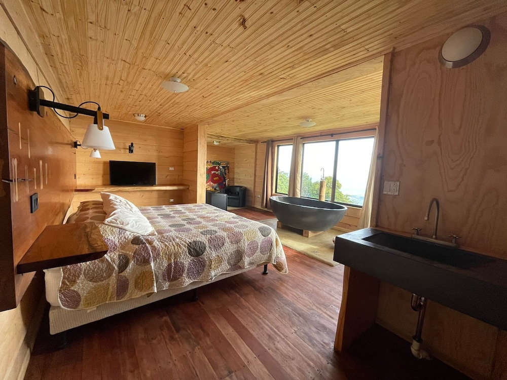 Panoramic Studio Suite, 1 King Bed photo 1