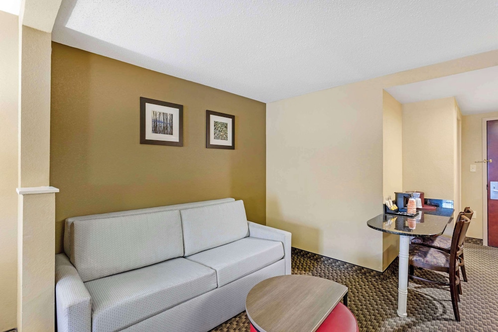 Suite, 1 King Bed with Sofa bed, Accessible, Non Smoking (Efficiency) - Photo 7