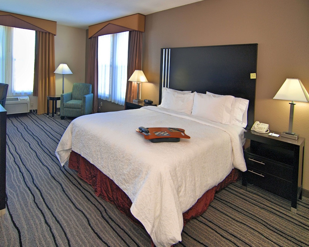 Room, 1 King Bed, Accessible - Photo 3