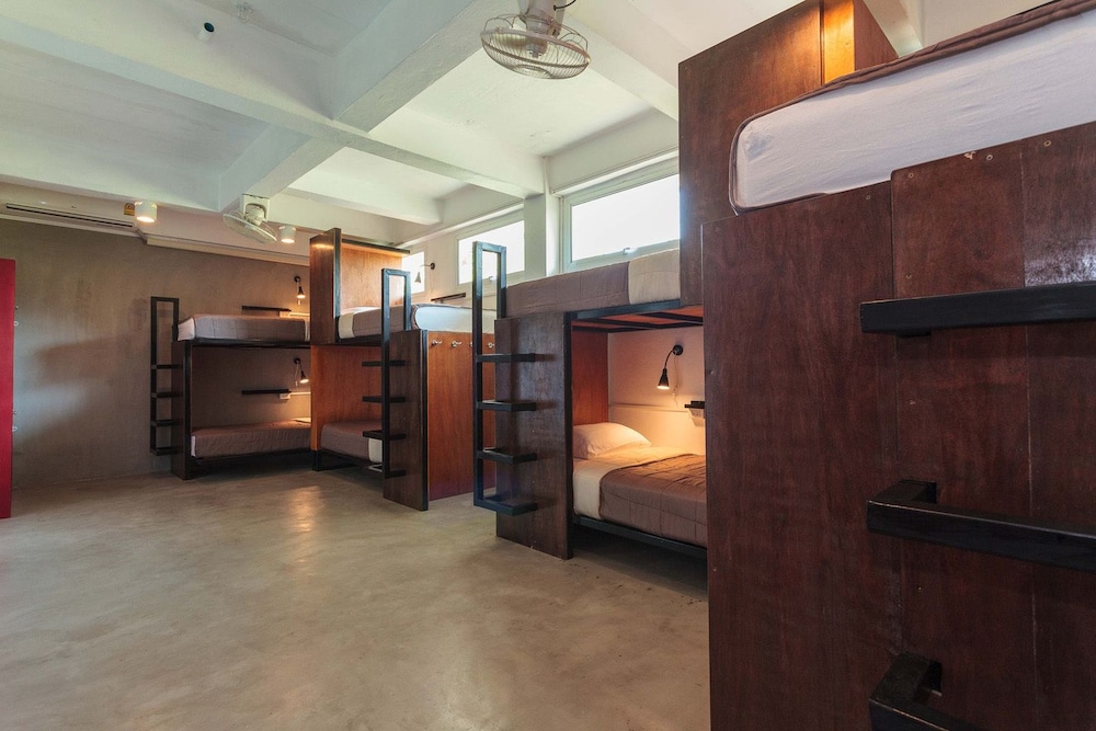 Premium Shared Dormitory, 1 Bedroom, Terrace photo 1