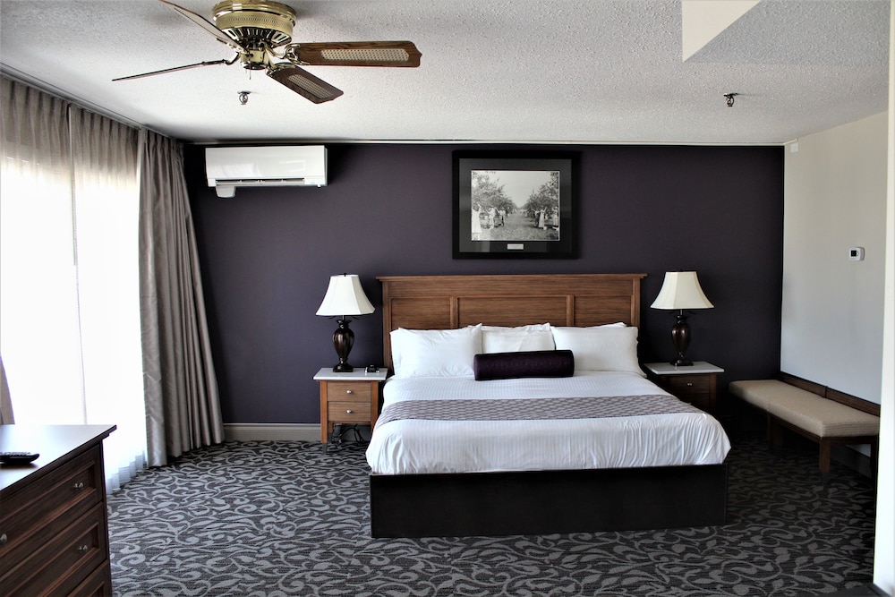 Executive King Suite photo 1