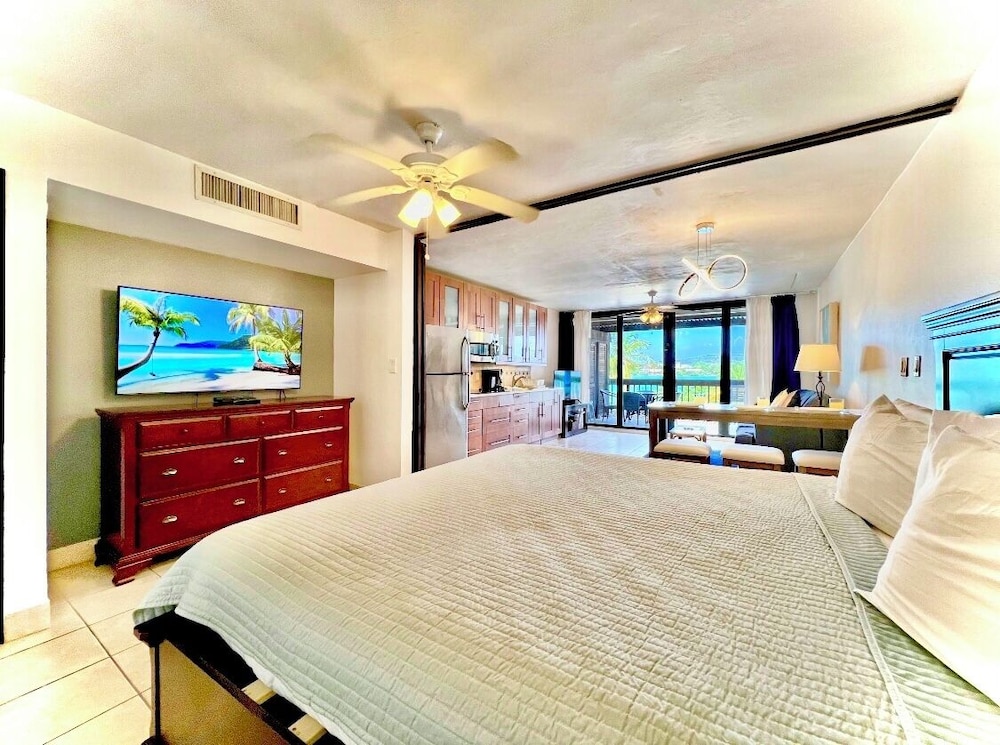 Studio Suite, 1 King Bed with Sofa bed