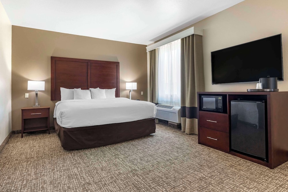 Suite, 1 King Bed with Sofa bed, Accessible, Non Smoking - Photo 1