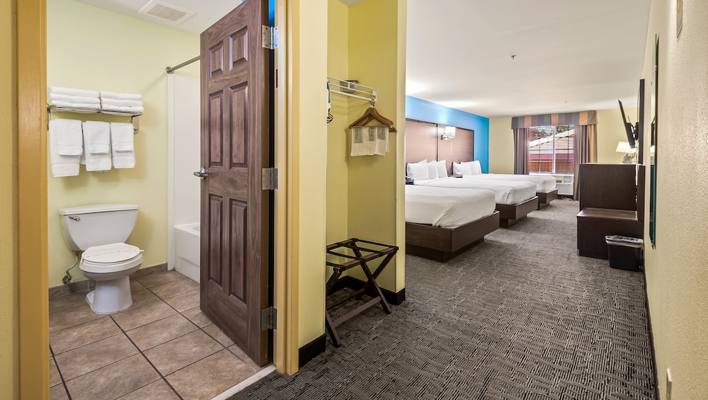 Room, Multiple Beds, Non Smoking, Refrigerator & Microwave photo 3