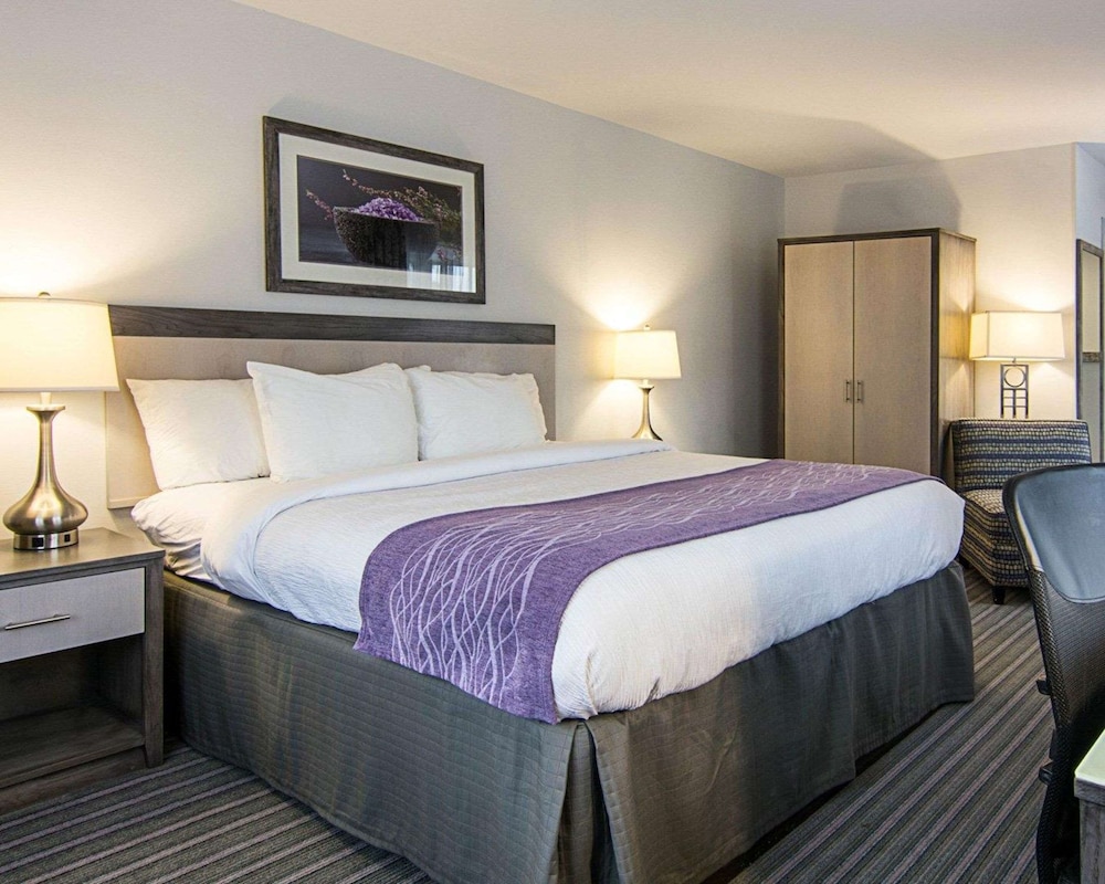 Room, 1 King Bed, Accessible, Non Smoking - Photo 2