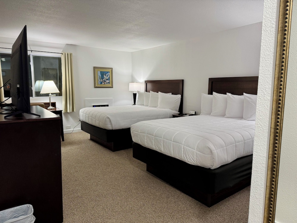 Family Suite, Multiple Beds photo 1