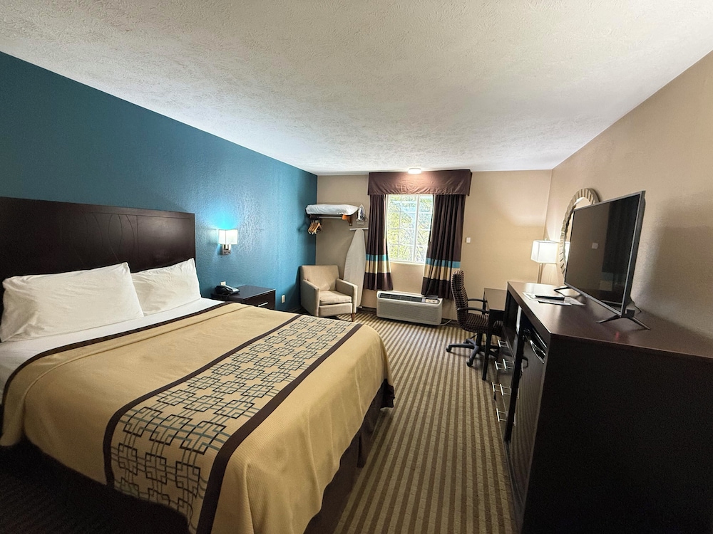 Standard Single Room, 1 Queen Bed photo 1