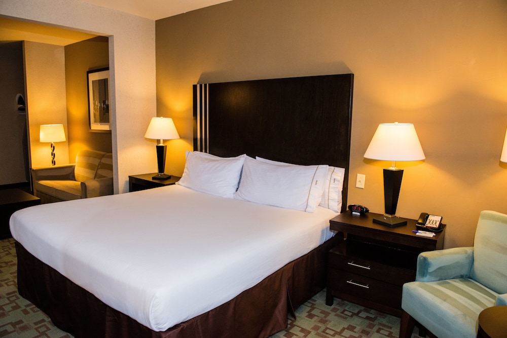 Suite, 1 King Bed - Photo 4
