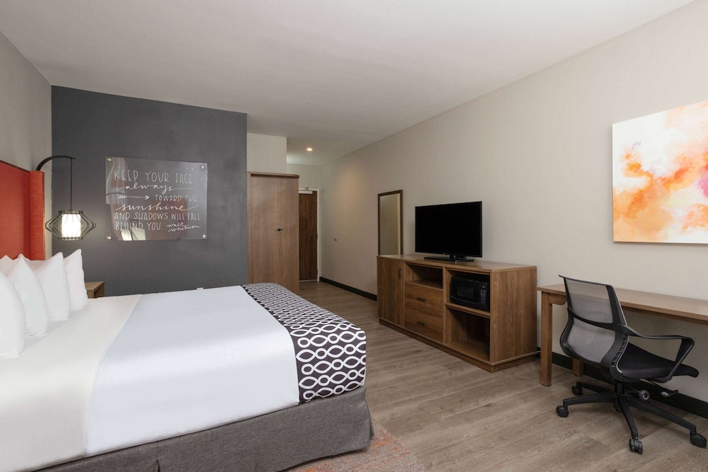 Room, 1 King Bed, Accessible, Non Smoking (Accessible Tub with Grab Bars) - Photo 3