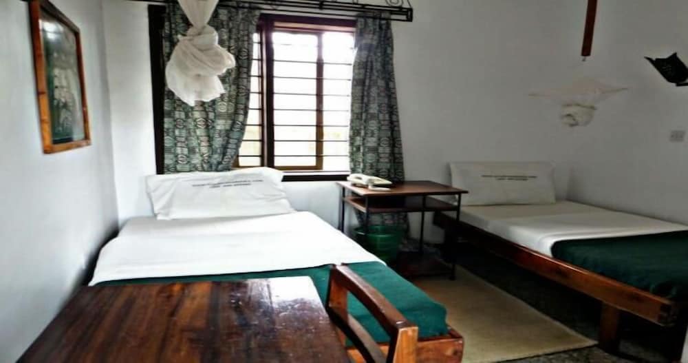 Basic Twin Room photo 1