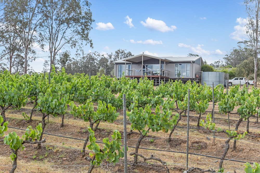 Vineyard Retreat photo 2
