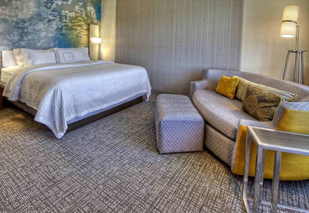Room, 1 King Bed with Sofa bed