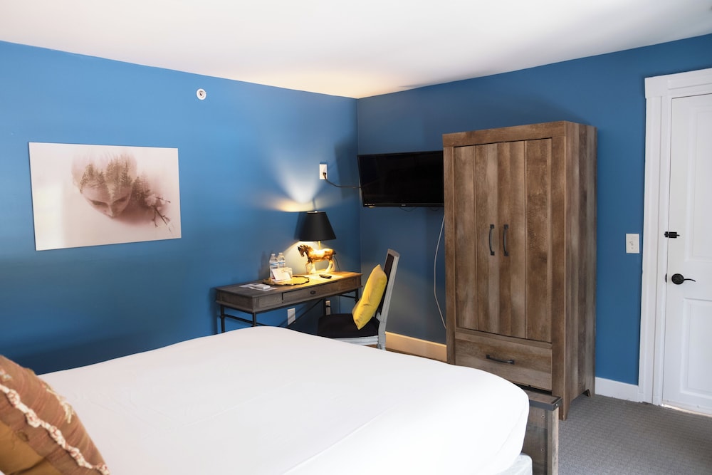 Comfort Single Room, 1 Queen Bed photo 2