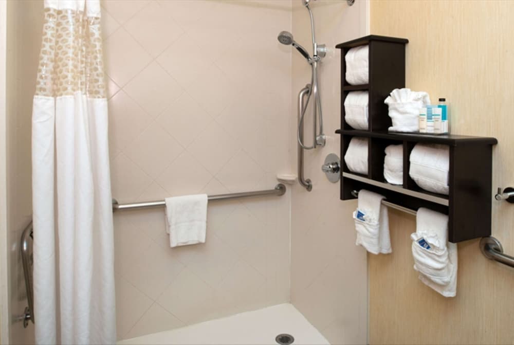 Room, 1 King Bed, Accessible (Roll in Shower)