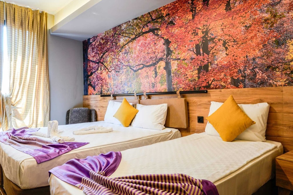 Basic Quadruple Room