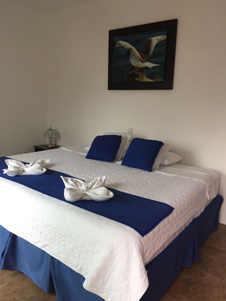 Double Room, 1 King Bed photo 3