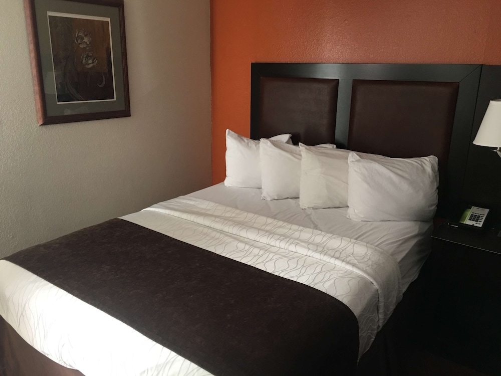 Standard Room, 1 King Bed, Accessible, Non Smoking (Refrigerator & Microwave, No Pets) photo 1