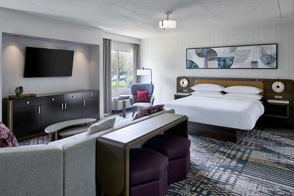 Suite, 1 King Bed with Sofa bed