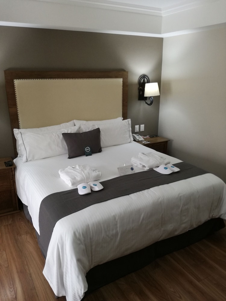 Premier Room, 1 King Bed, City View