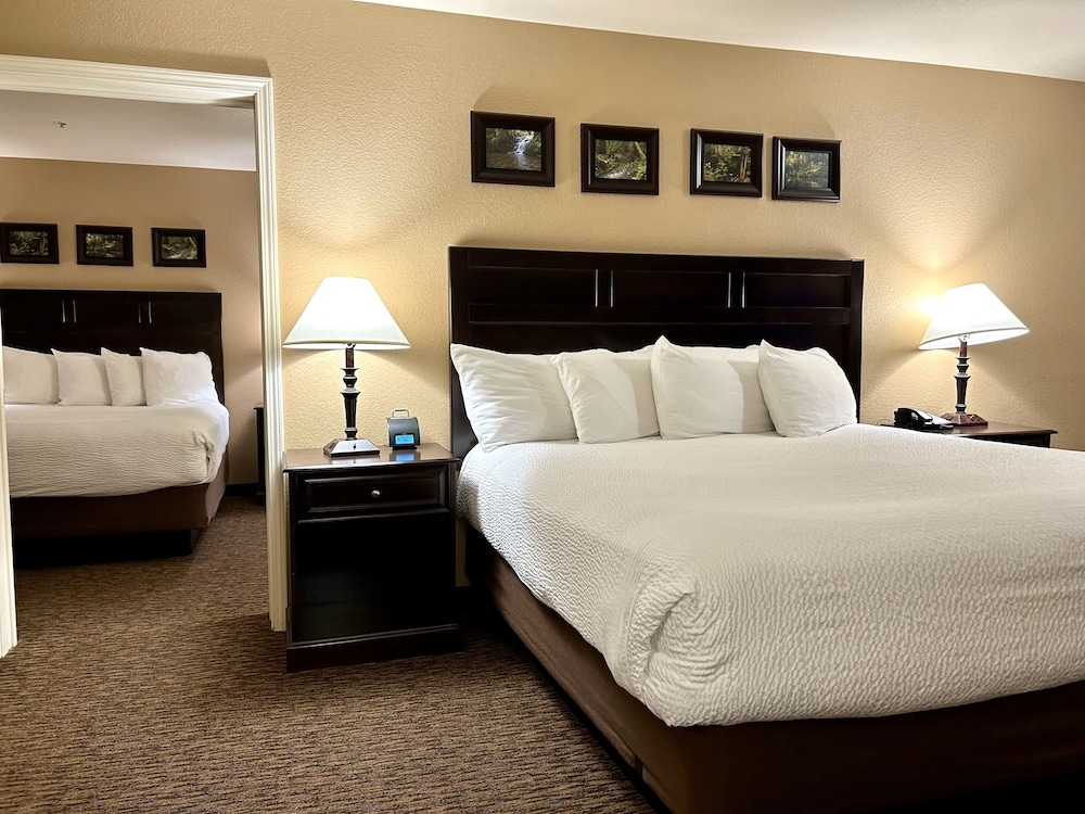 Suite, Multiple Beds, Non Smoking, Refrigerator & Microwave photo 1