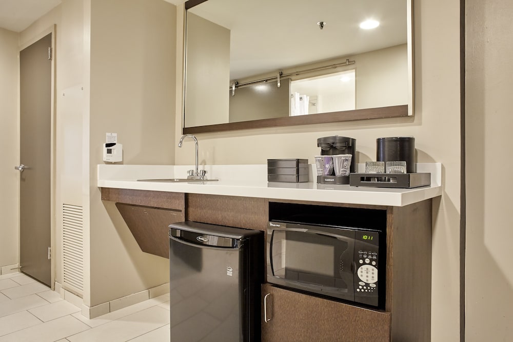 Suite, Accessible, Non Smoking (Roll-in Shower) - Photo 4
