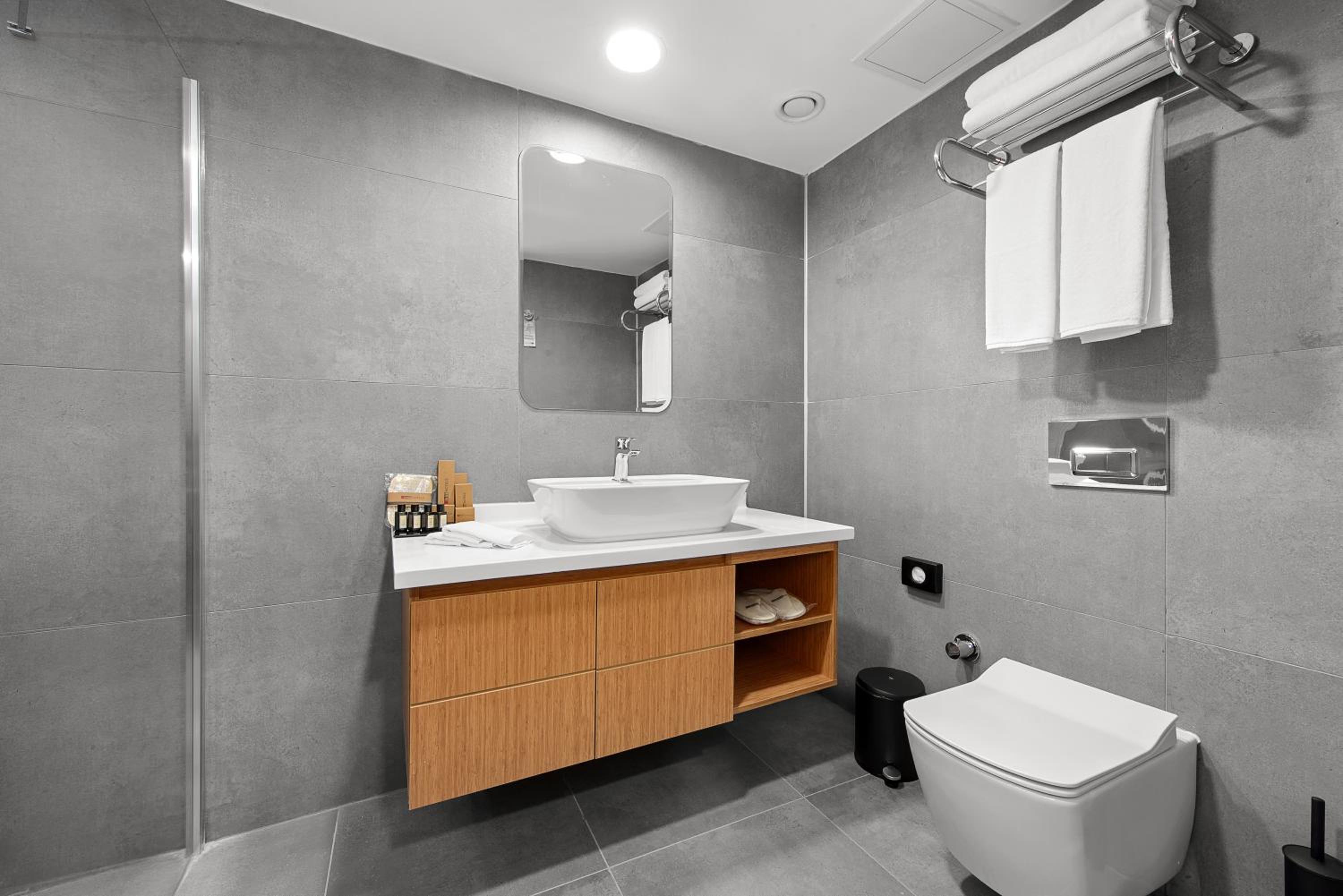 Deluxe Double or Twin Room with City View - Photo 20