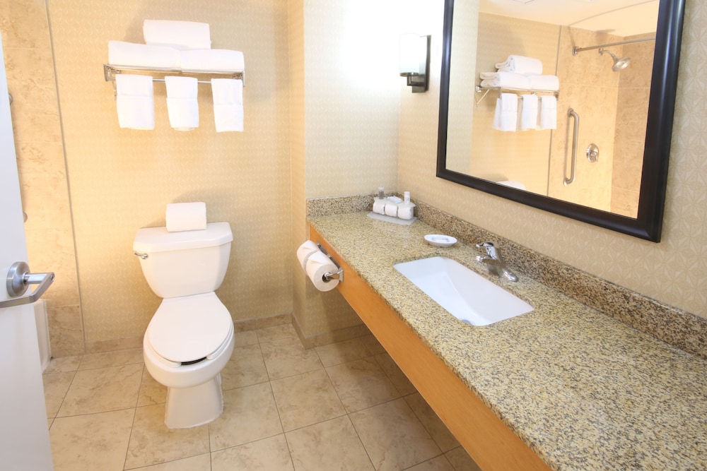 Suite, 1 Bedroom - Photo 6