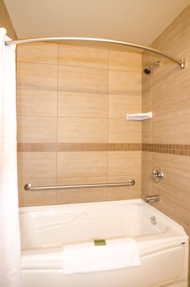 Suite, 1 King Bed, Non Smoking, Refrigerator & Microwave (with Sofabed)