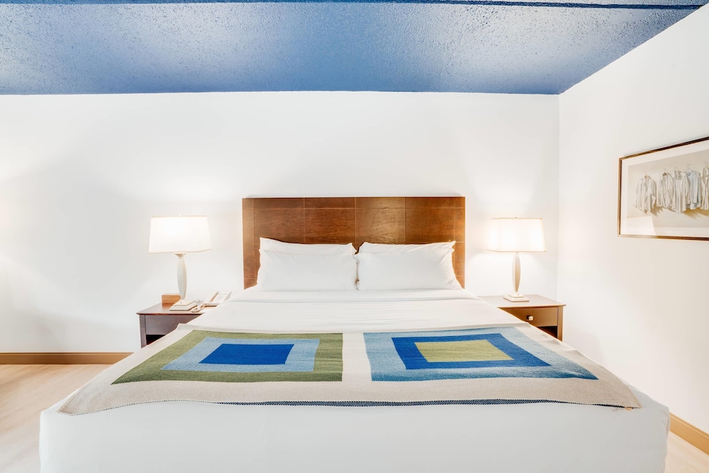 Room, 1 King Bed, Accessible, Non Smoking (Transfer Shower) - Photo 2