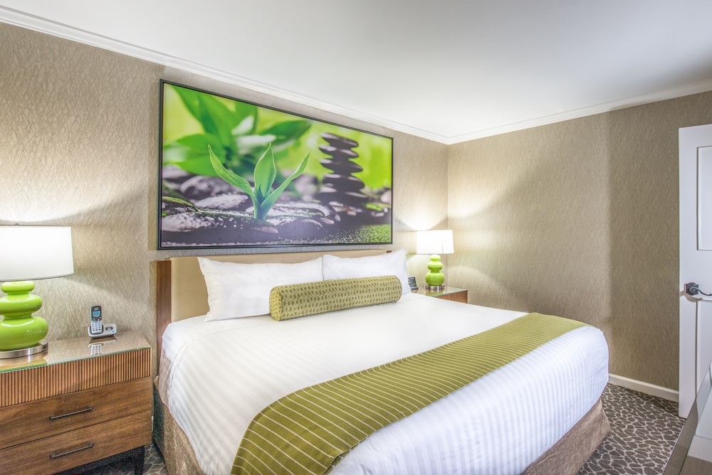 Suite, 1 King Bed - Photo 1