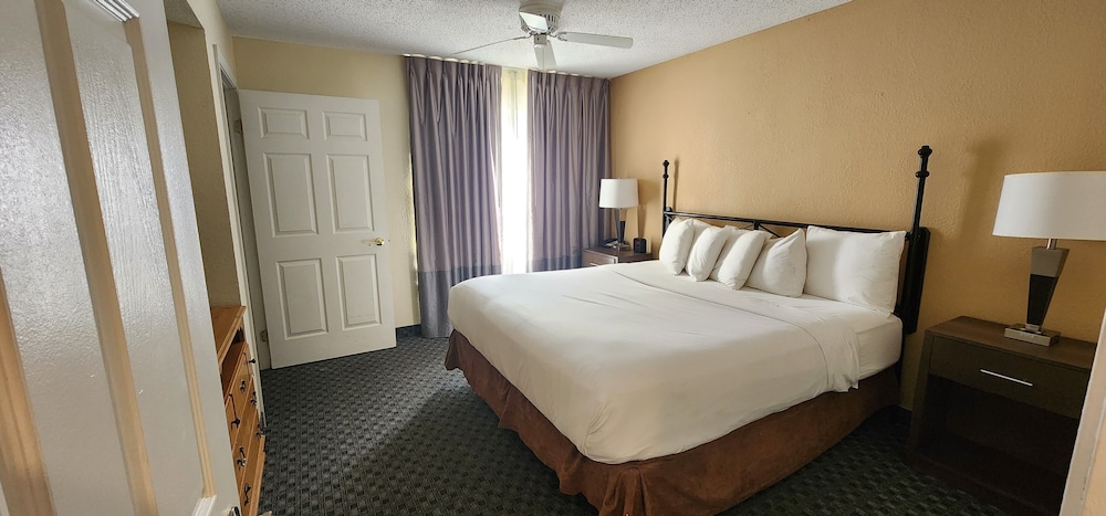 Deluxe Suite, 1 Bedroom, Non Smoking, Kitchenette (One Bedroom) - Photo 2