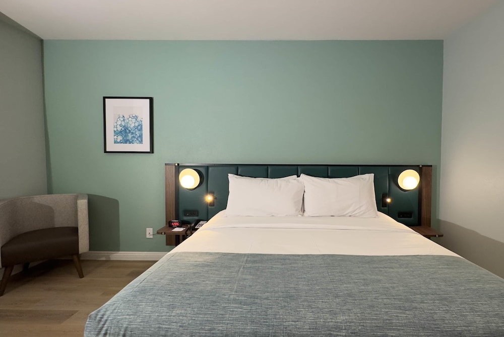 Room, 1 King Bed, Mobility Accessible, Non Smoking (Hearing, Roll-in Shower) photo 2