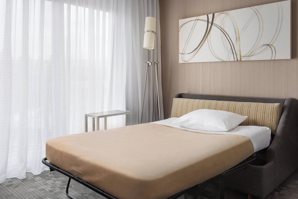 Suite, 1 King Bed with Sofa bed