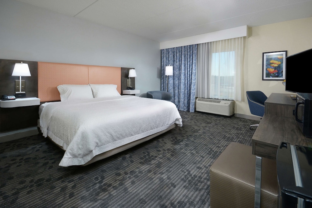 Room, 1 King Bed, Accessible, Non Smoking (Mobility, Bathtub) - Photo 4