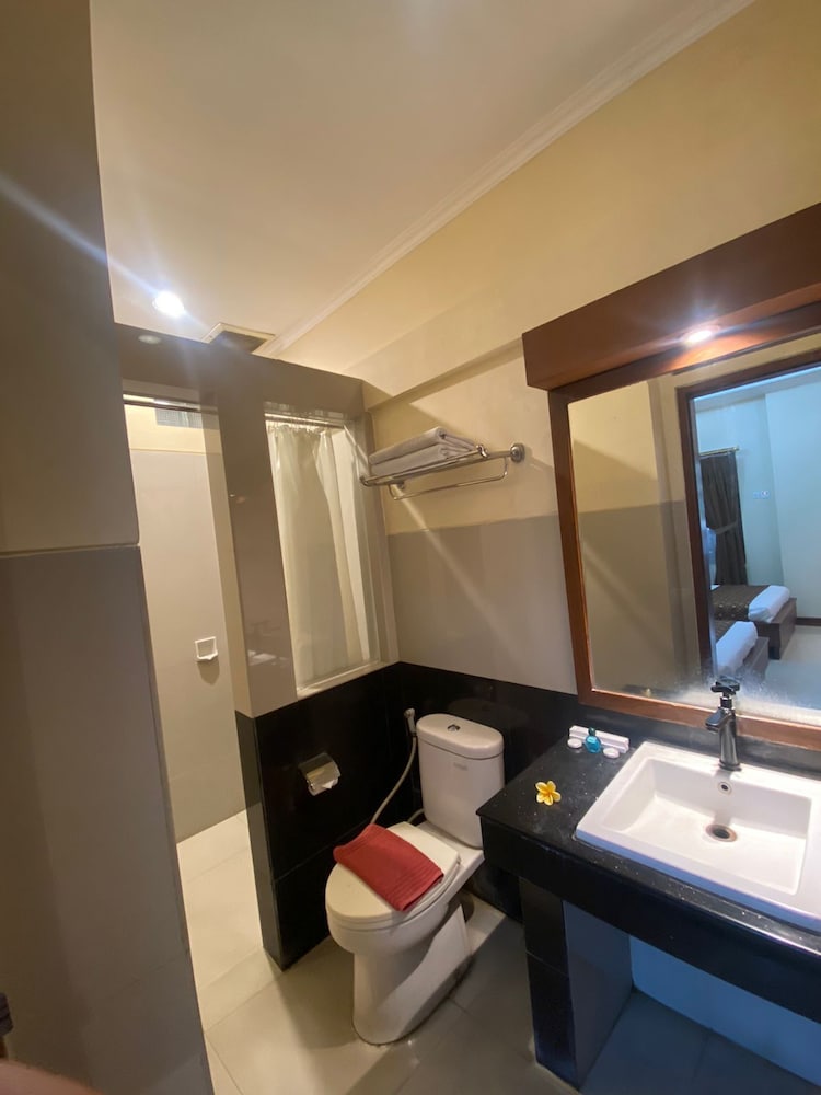Deluxe Double or Twin Room photo 2