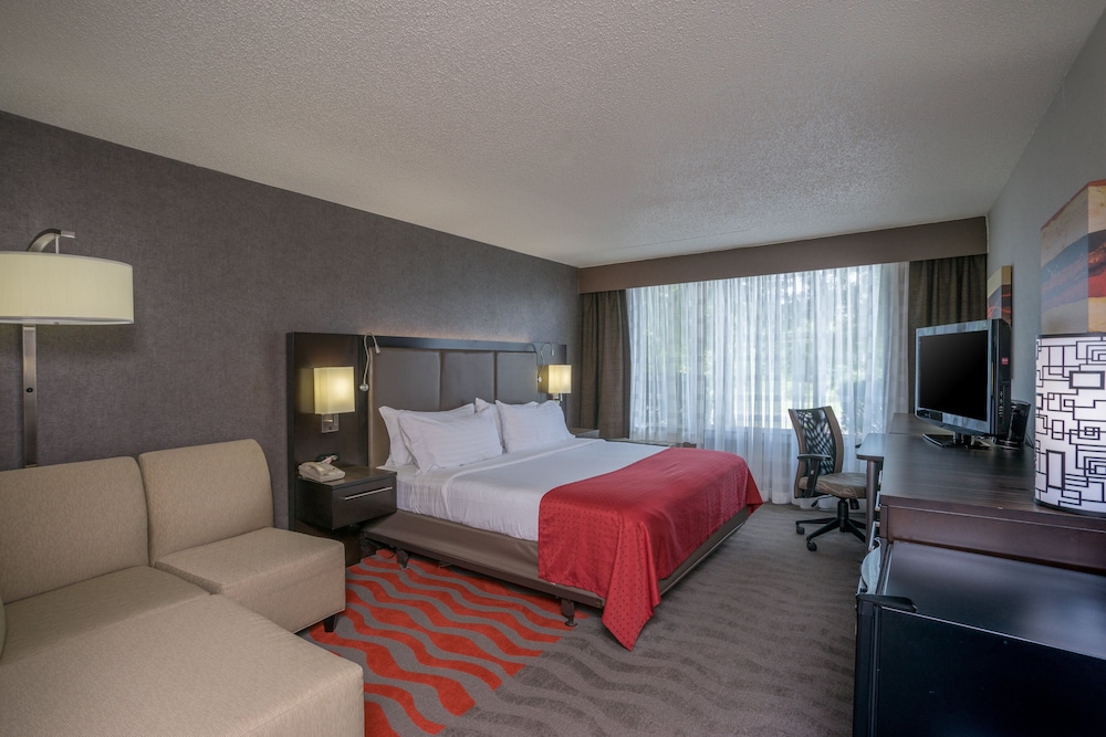Standard Room, 1 King Bed, Accessible (Communications) - Photo 3